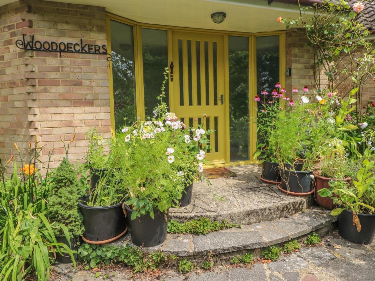 Villa Little Yaffle à Douvres Extérieur photo